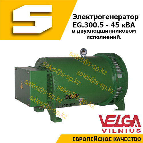 Электрогенератор EG.300.5* (в двухподшипниковом исполнений)